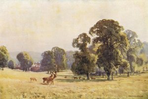 Cobham Park - Ernest William Haslehust