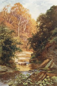 Hayburn Wyke - Ernest William Haslehust