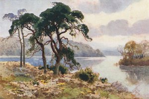 Virginia Water - Ernest William Haslehust