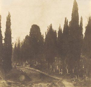 Turquie : Cimetière de Scutari