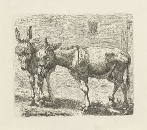 Deux ânes - Ernst Ludwig Creite