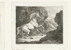 Cheval blanc cabré