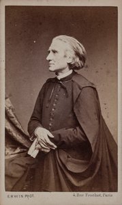 Portrait du compositeur Franz Liszt 1811-1886 - Erwin Hanfstaengl