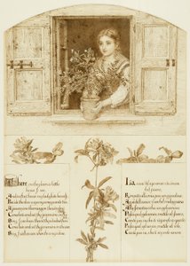 La fenêtre de Jessamine, dessin vers 