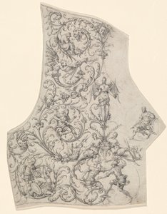 La plaque dorsale d