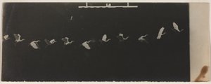 Chronophotographie d