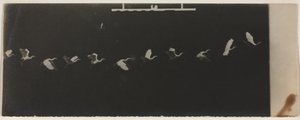 Chronophotographie d