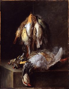 Oiseaux morts