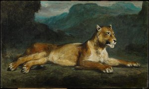Lionne allongée