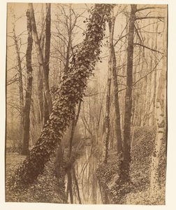  - Eugène Atget