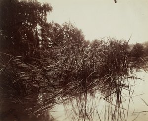  - Eugène Atget