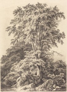 Bosquet de hêtres, 1840
