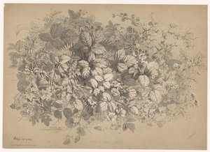 Mûres et autres plantes - Eugene Bléry