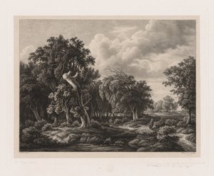 Groupes de diverses plantes dessinées d