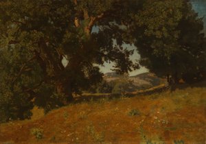 Paysage