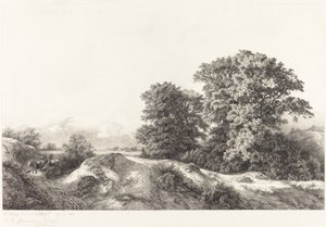 Chênes dans les Vaux de Cernay - Eugene Bléry