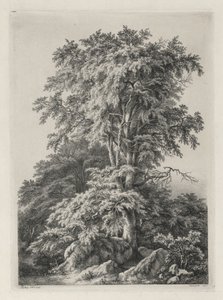 Études dessinées et gravées d