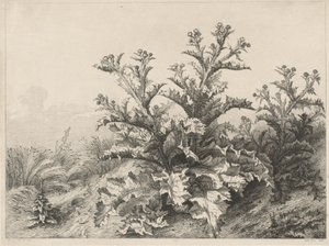 Le Grand Chardon, 1843