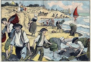 Les habitants de la côte de Thouais récoltent des moules. Kernevel, Finistère (29), Bretagne. Illustration de Damblans. Dans "Le Pèlerin" du 31 août - Eugene Damblans