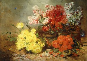 Marguerites, bégonia et autres fleurs en pots