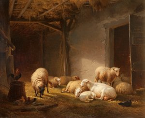 Une grange ensoleillée avec des brebis, des agneaux et des poules