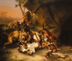 Combat de tigres et de lions