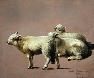Étude de moutons - Eugene Joseph Verboeckhoven