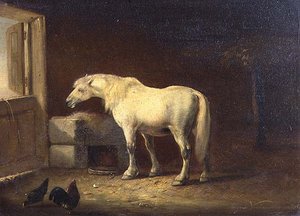 Cheval blanc dans une écurie