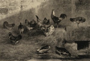 Poulets et canards - Eugene Leroux