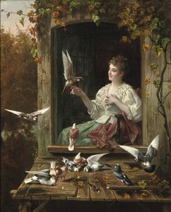 Nourrir les oiseaux