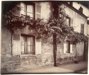 Glycine, Châtillon - Eugène Atget