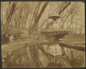 Parc de Saint Cloud (Saint Cloud Park) - Eugène Atget