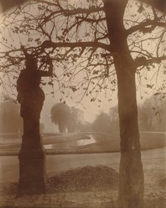 Saint-Cloud - Eugène Atget
