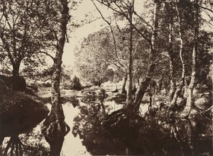 Belle-Croix,1860s (photo) - Eugène Cuvelier