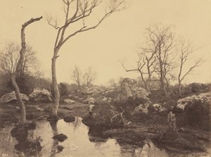 Belle Croix, vers 1858 - Eugène Cuvelier