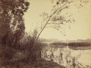Marais de Fampoux, début des années 1860 (photo) - Eugène Cuvelier
