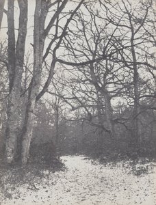 Route dans la forêt, 1860-1863