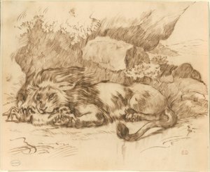 Lion dévorant un lapin - Eugène Delacroix