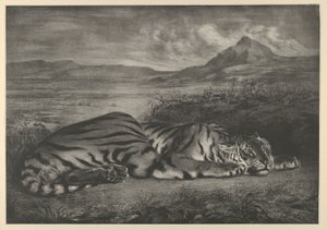 Tigre royal, 1829