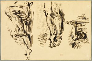 Étude des bras et des jambes du Christ crucifié