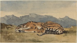 Tigre - Eugène Delacroix