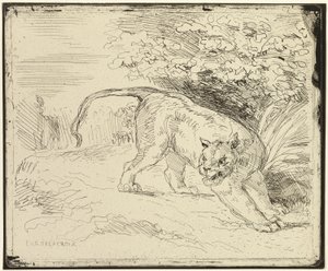 Le tigre prêt pour le printemps - Eugène Delacroix