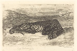Tigre couché dans le désert - Eugène Delacroix