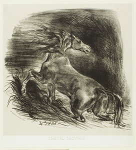 Cheval sauvage ou cheval effrayé quittant l