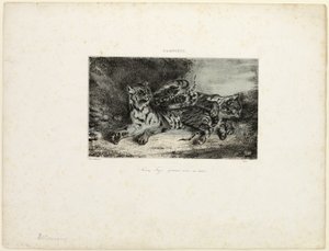 Jeune Tigre Jouant avec sa Mère - Eugène Delacroix
