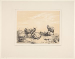 Quatre moutons
