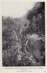 Photographie remarquable d
