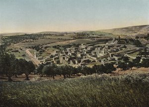 Béthanie