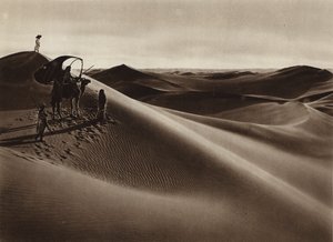 Dunes - European Photographer