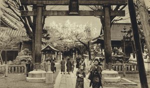 Japon, rue à Tokyo, période des cerisiers en fleurs